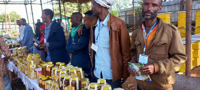 Honey Festival in Bedele town, Oromia region