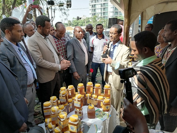 icipe at the fifth World Bee Day in Bahir Dar town